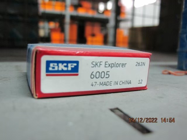 SKF Photo 61
